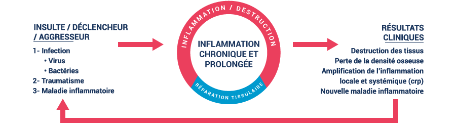 chronic and prolonged inflammation graphic